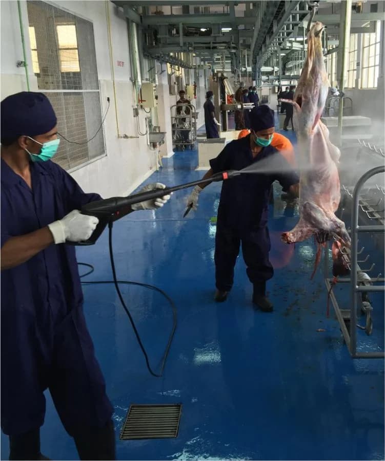 Sheep and Goat processing facility, Anmol Group